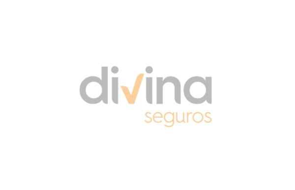 divina seguros hover