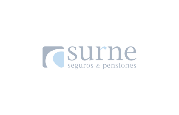 surne hover