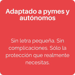 Adaptado a pymes y autónomos