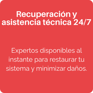 Recuperación y asistencia técnica 24_7